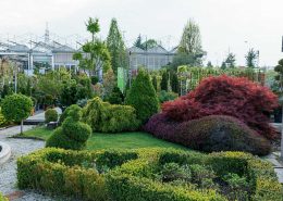 Le piante da giardino e esterno non sono tutte uguali e non basta decidere in base ai propri gusti: vieni a trovarci per consigli sulla tua scelta. Tipo di terreno, temperature, esposizione solare e alla luce, dimensione e crescita dell’arbusto sono indispensabili per trovare la soluzione giusta. Un vasto assortimento di piante da vaso e da terreno cambierà volto ai tuoi spazi aperti.