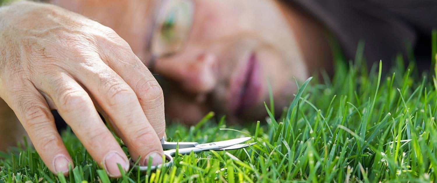 Se siete alla ricerca di un giardiniere in cuneo il nostro garden offre il servizio di realizzazione e manutenzione giardini