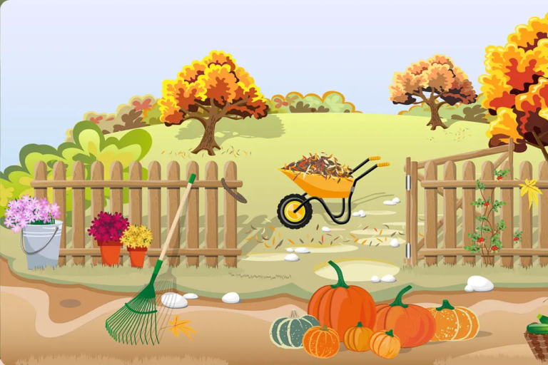 Come curare il prato in autunno