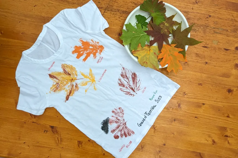 Foliage Laboratorio per Bambini