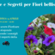 Come avere delle fioriture bellissime in primavera