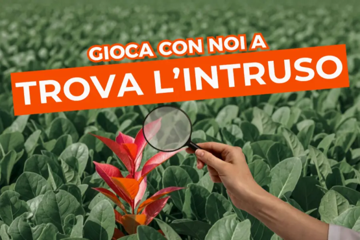 Trova_L_Intruso
