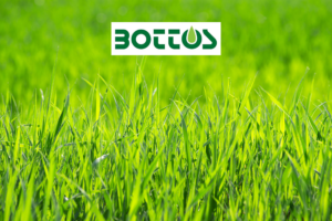 Prato verde rigoglioso per il corso sulla cura del tappeto erboso organizzato da Roagna Vivai con gli esperti Bottos a Cuneo