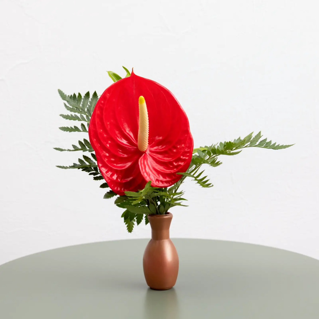 cb-01-composizione-anthurium-rosso-tutti-i-santi