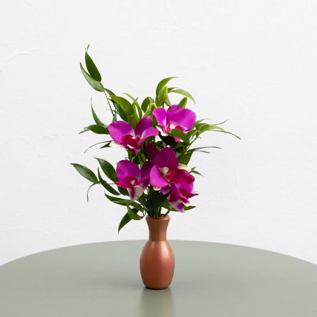 cb-02-composizione-orchidee-fucsia-tutti-i-santi