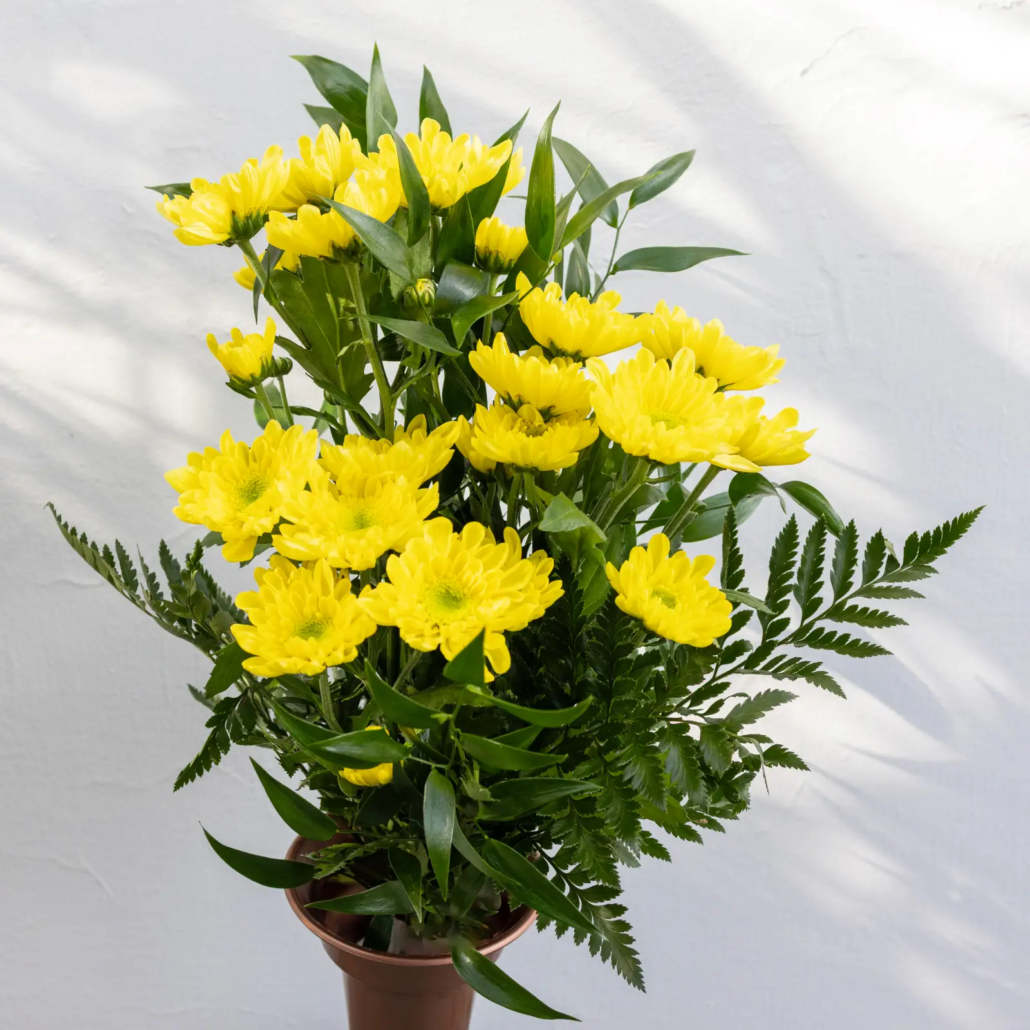 cb-11-bouquet-crisantemi-gialli-fiori-cimitero
